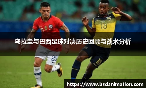 米乐yy体育